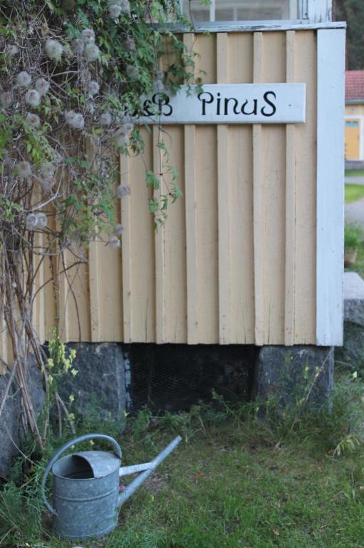 B&B Pinus Mäntyharju Dış mekan fotoğraf