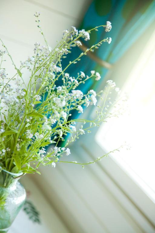 B&B Pinus Mäntyharju Dış mekan fotoğraf